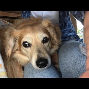 Meet your Posher, Marilyn